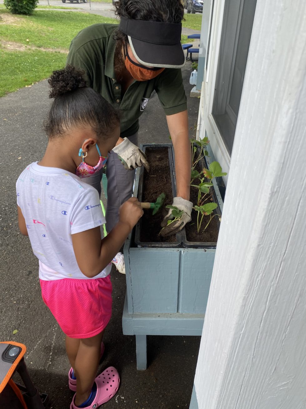 Planting Strawberries! Children's Learning Centers of Fairfield County