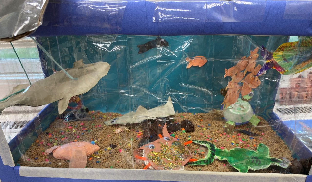 3D Aquarium! | Children's Learning Centers of Fairfield County