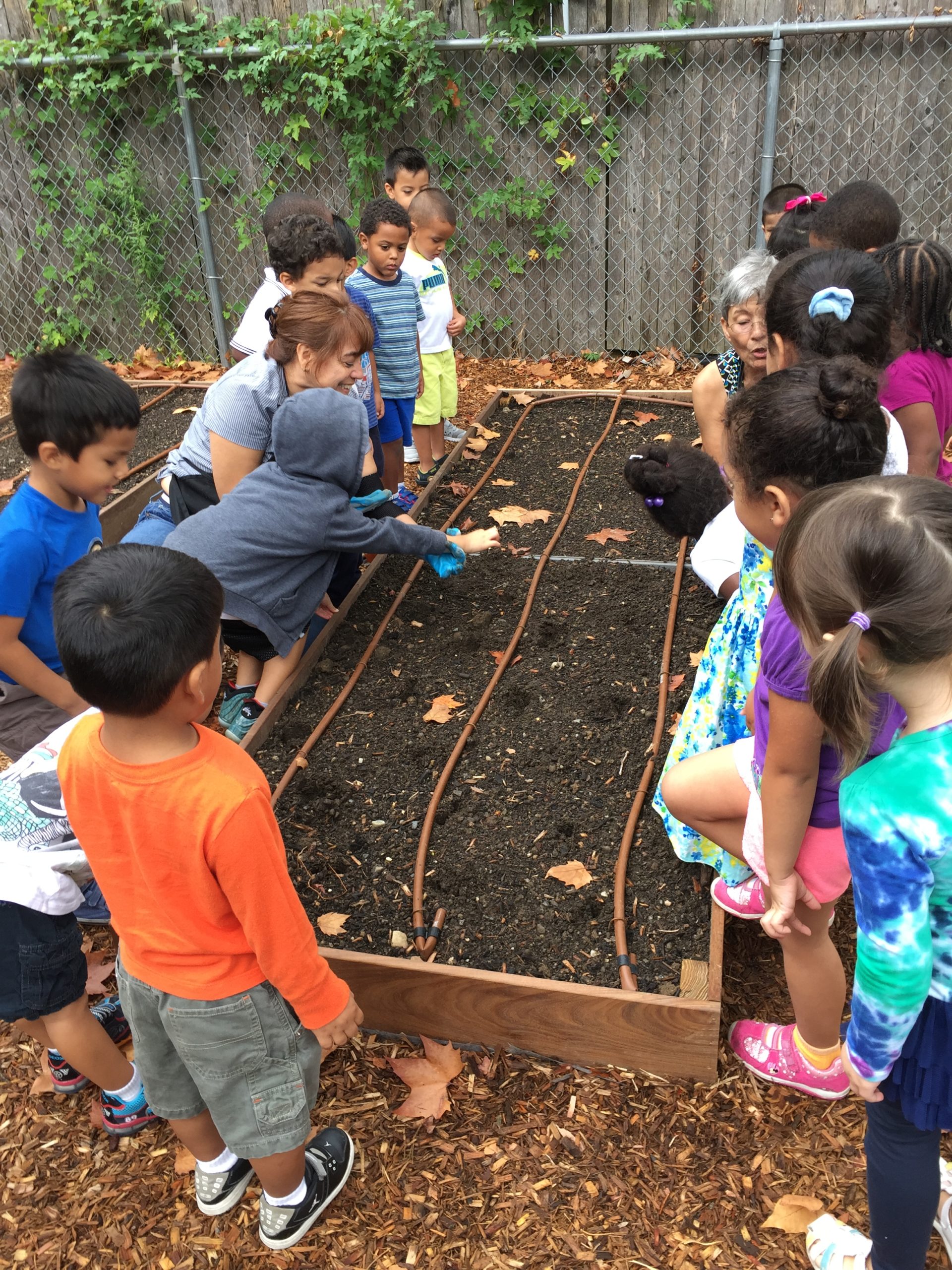 Sandak Garden Group 9-15